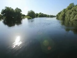 MS POV Shot of Boat riding along Danube Delta canals / Tulcea, Danube Delta, Romania Stock Footage