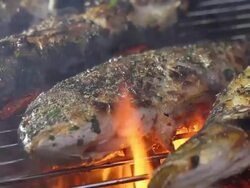 CU Grilling Fish Stock Footage
