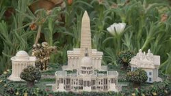 Man creates roof garden as safe meeting place for friends and family Instructional Video