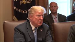 Trump Invites Democrats to Talk on Immigration News Clip