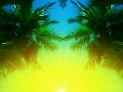 Paradise Stock Footage