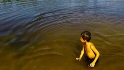 CLEAN : Thousands of sea turtles lay their eggs on News Clip