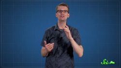 Did Dinosaurs Really Have Feathers? Instructional Video