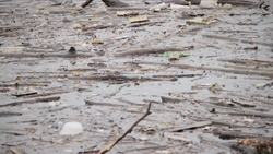 How to Measure the pH of Water: Importance and Impacts Instructional Video