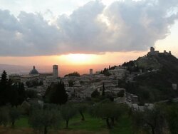 Elevated sunset over Olive groves Assisi, Umbria, Italy, Europe Stock Footage