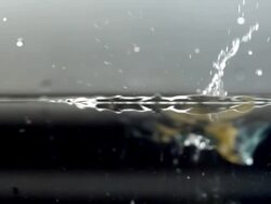 ECU SLO MO Shot of Egg yolk falling into water / Seoul, South Korea Stock Footage