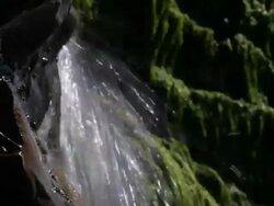 Water Fall Stock Footage