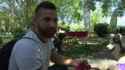 10th anniversary of annual Beirut dog show Instructional Video