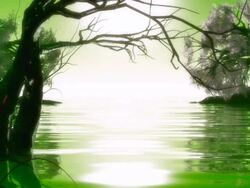 Magic forest. Stock Footage