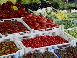 Farmers Market in Rome, Italy, Europe - 1920x1080 Stock Footage