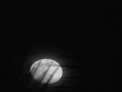 Moonrise with clouds Stock Footage