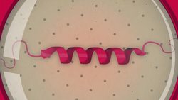 TED-Ed: The cancer gene we all have - Michael Windelspecht Instructional Video