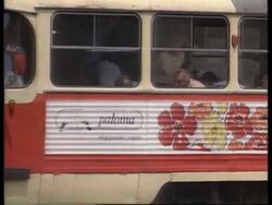 Bosnia - Radovan Karadzic Arrives At Parliament Instructional Video