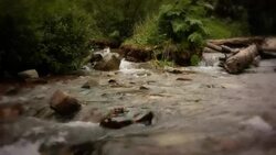 A river quickly flows by large rocks. Stock Footage