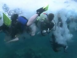 Several divers drop backwards into water together, Southern Visayas, Philippines Stock Footage