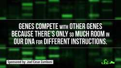 The Science of Dank Memes Instructional Video