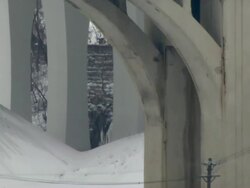 MS ZO Construction equipment parked under highway bridge / Minneapolis, Minnesota, United States Stock Footage