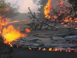 WS View of burned forest and vegetation by road with lava flow forming black smoke / Kalapana, Hawaii, USA Stock Footage