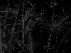 POLYMORPHIC SENSE : near the limit, black-white (LOOP) Stock Footage