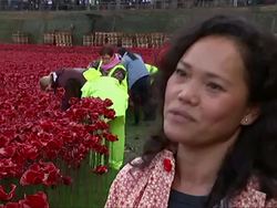 Tower of London Poppies, 'Blood swept Lands and Seas of Red' installation of red ceramic poppies removal. News Clip