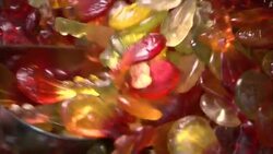 A scoop scoops gummie candies from a bin. Stock Footage