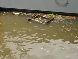 Water pollution Stock Footage