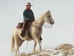 TS Cowboys and cowgirl on horseback riding slowly across a snowy ridge with a dog following along / Shell, Wyoming, United States Stock Footage