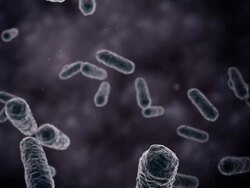 Bacteria seen by electron microscope 1080p Loop Stock Footage