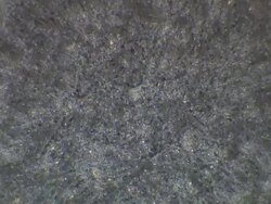 Human sperm, masses swimming, tilt down to sperm all around edge of egg-like sphere Stock Footage