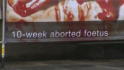 Anti-abortion protesters outside the Irish Parliament News Clip