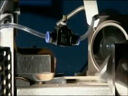 Cork (Quercus suber) processing - Corks pass through scanner on assembly line, Andalusia, Southern Spain Stock Footage