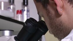 Deep-diving ocean mission to assess fragile coral reefs +REPLAY+  News Clip