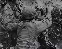 THE MEN OF ARNHEM News Clip