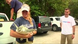 A rehabilitated green sea turtle returns to Florida waters with the help of a long-distance swimmer. Pearl flapped her fins excitedly as swimmer Ben Lecomte placed her on the beach off a state park in Key Biscayne, Florida. (May 15) News Clip
