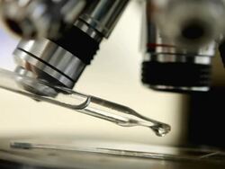 Microscopy (HD) Stock Footage