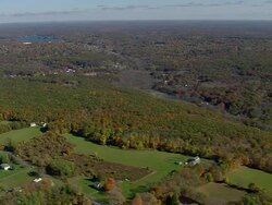 WS AERIAL Wooded area with autumn colors nesting in trees / Connecticut, United States Stock Footage
