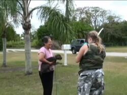 Volunteers patrol the rural areas in Homestead to Stock Footage