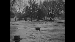 Devastating flood in probably 1920s; horses pull streetcars in city in 1920s News Clip
