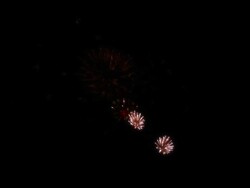 Firework Stock Footage