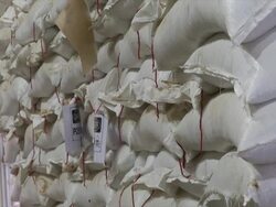 CU ZO Shot of bags of Pilsen malt piled high on pallet / Wau, Western Bahr el Ghazal, Sudan  Stock Footage