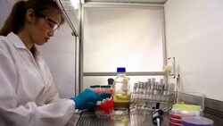 Scientist and bio lab experiment Stock Footage