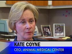 Around the nation, veterinarians are practicing ever more advanced medicine on the nation's 77 million dogs, 90 million cats and a myriad of other animals, treatments that vie with the best of human medicine. News Clip