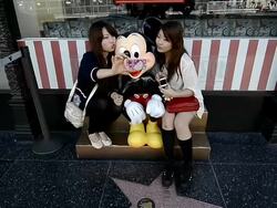 Scenes From Hollywood Boulevard, California Stock Footage