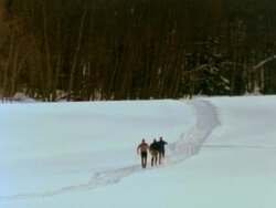 Cross country skiing into the woods Stock Footage