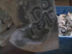 Idyllic Scenes From A Boat Ride Across The Amazon Stock Footage