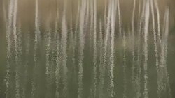 Water reflection Stock Footage