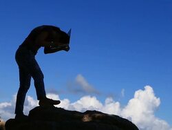 Girl working with laptop Stock Footage