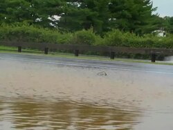 Cars Splashing Through Flood Waters Stock Footage