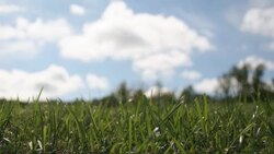 Clouds Time Lapse and Grass Lawn Stock Footage