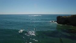 Aerial Oregon Newport Beach Stock Footage